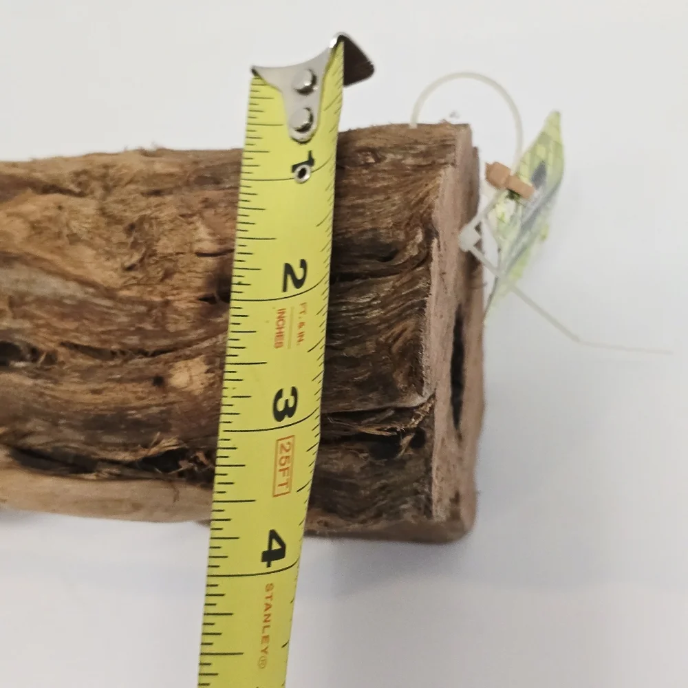 All Living Things Reptile Driftwood